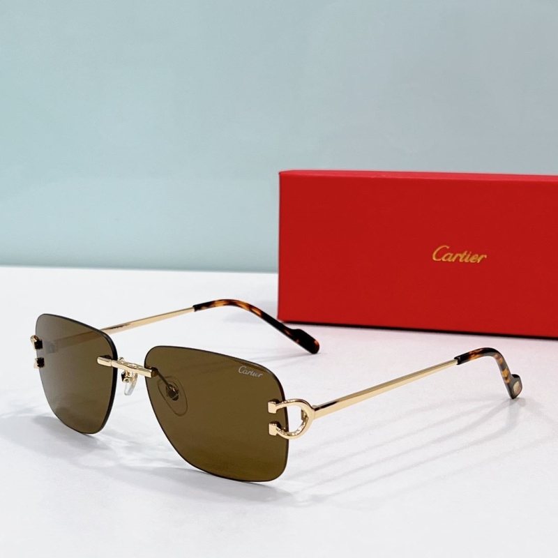 Cartier Sunglasses